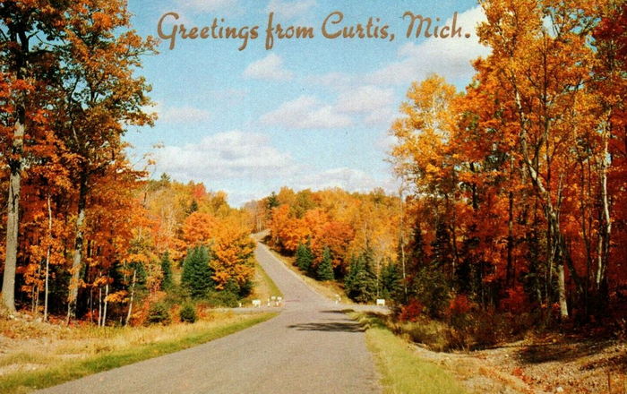 Curtis - Vintage Postcard (newer photo)